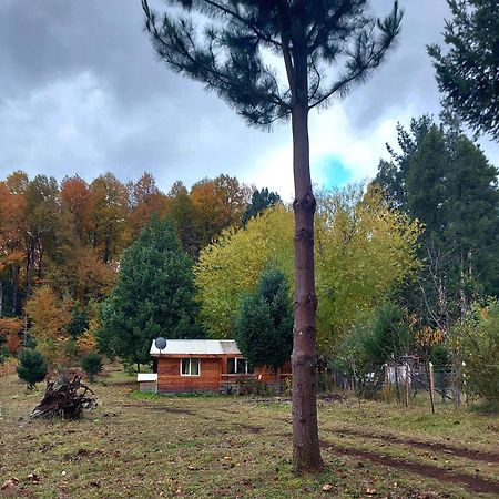 Cabana May Pao, Para 3 En Melipeuco Cerca Del Parque Nacional Conguillio エクステリア 写真