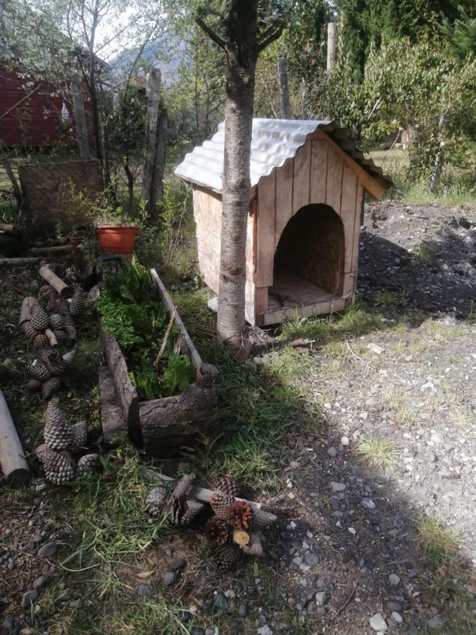 Cabana May Pao, Para 3 En Melipeuco Cerca Del Parque Nacional Conguillio エクステリア 写真