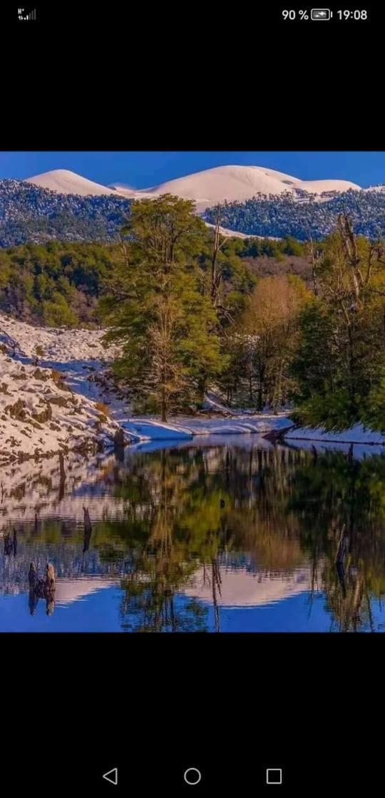 Cabana May Pao, Para 3 En Melipeuco Cerca Del Parque Nacional Conguillio エクステリア 写真