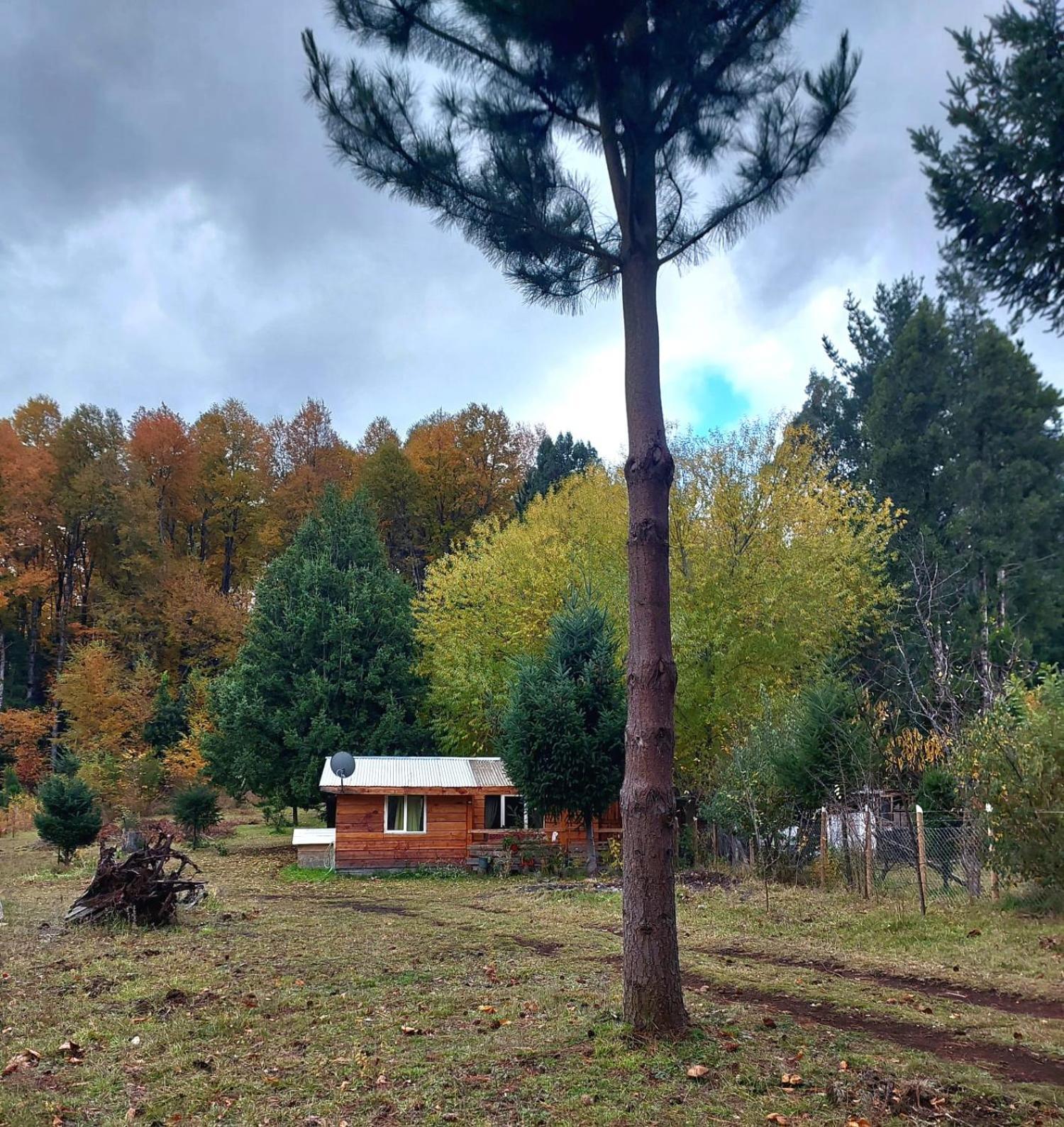 Cabana May Pao, Para 3 En Melipeuco Cerca Del Parque Nacional Conguillio エクステリア 写真