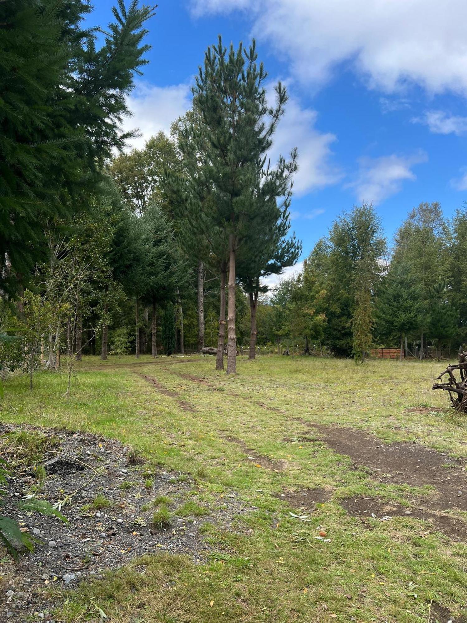 Cabana May Pao, Para 3 En Melipeuco Cerca Del Parque Nacional Conguillio エクステリア 写真